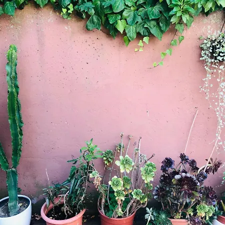 Opera Deluxe 4* Ravenna