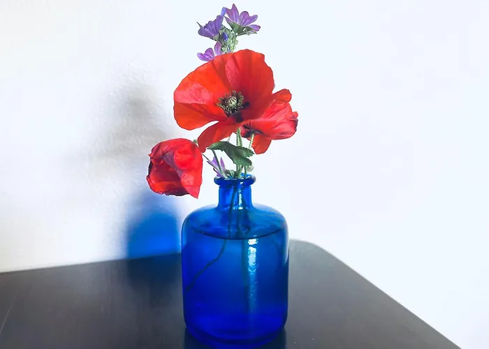 Opera Deluxe Nocleg ze śniadaniem 4*