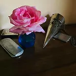 Opera Deluxe 4*