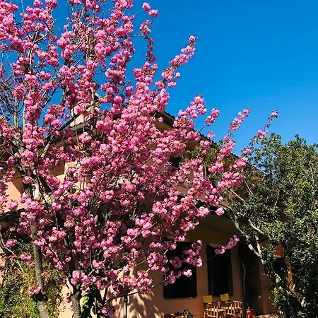 Opera Deluxe Bed & Breakfast Ravenna