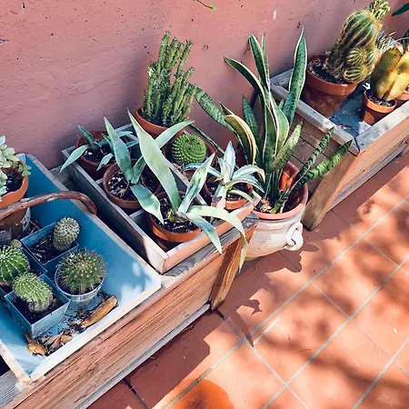 Opera Deluxe Bed & Breakfast 4*