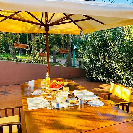 Bed & Breakfast Opera Deluxe Ravenna