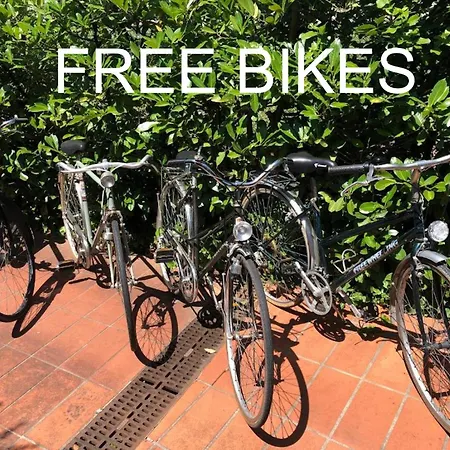 Bed & Breakfast Opera Deluxe