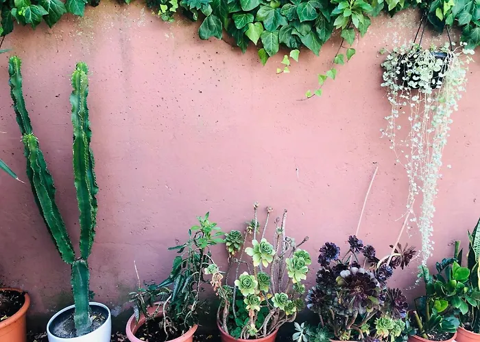 Opera Deluxe 4* Ravena