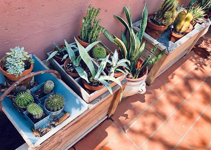 Opera Deluxe Couette-café 4*