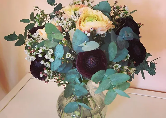 Couette-café Opera Deluxe